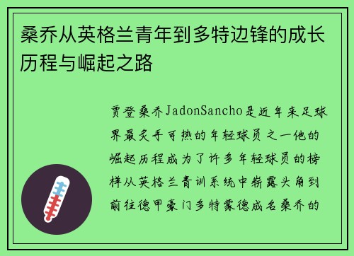 桑乔从英格兰青年到多特边锋的成长历程与崛起之路 桑乔从英格兰青年到多特边锋的成长历程与崛起之路