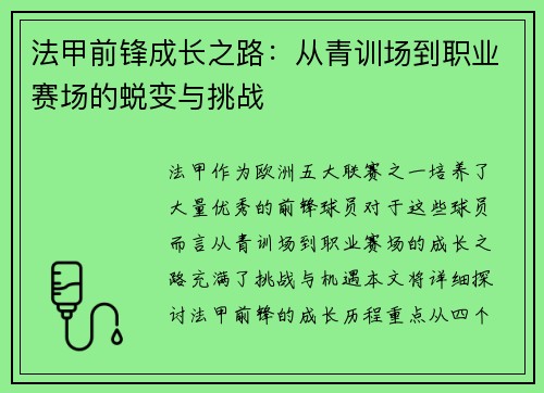 法甲前锋成长之路:从青训场到职业赛场的蜕变与挑战 法甲前锋成长之路:从青训场到职业赛场的蜕变与挑战